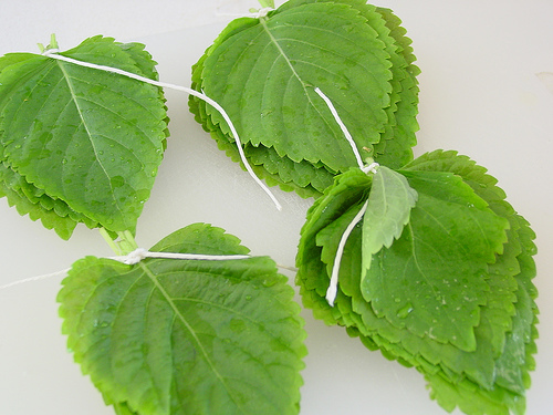 Korean perilla leaves stacked on a plate